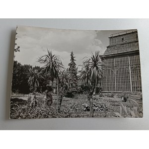 KRAKÓW OGRÓD BOTANICZNY I PALMIARNIA