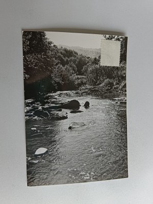 BIESZCZADY WETLINKA BROOK
