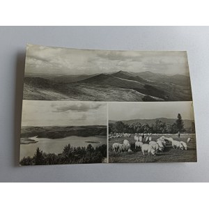 BIESZCZADY WIDOK NA SZCZYT POŁONINY WETLIŃSKIEJ, WYPAS OWIEC