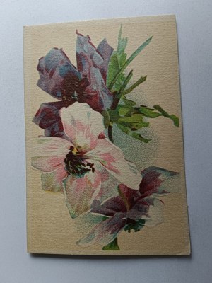 POLANICA FLOWERS 1948