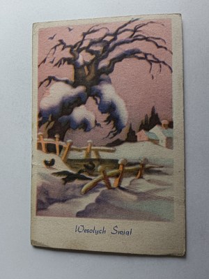 FESTIVE CHRISTMAS WINTER