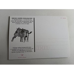 WROCŁAW ZOO ZEBRA