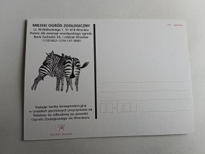 WROCLAW ZOO ZEBRA
