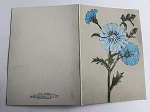FLOWERS UNFOLDING, FIG WILLY