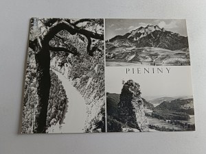 PIENINY DUNAJEC GORGE