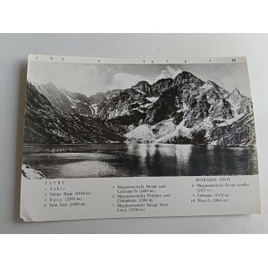 TATRY ŻABIE RYSY ŻABI KOŃ MNICH MIĘGUSZOWIECKI SZCZYT