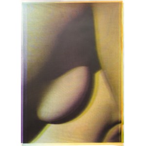 Paula Gontarek, Episome 4, 2025