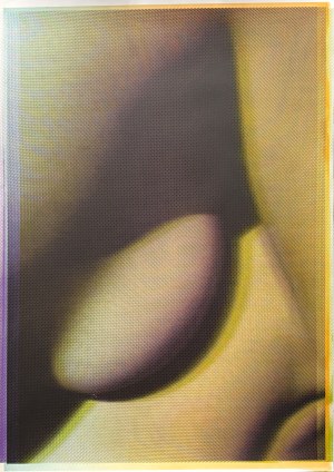 Paula Gontarek, Episome 4, 2025