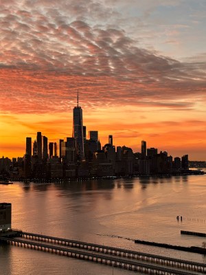 Tomasz Grzywaczewski, Manhattan, 2024
