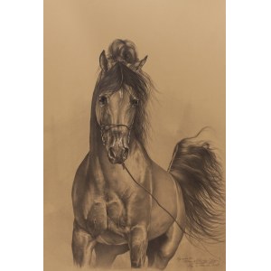 Sławomir Szereda, Ogier Equador, 2025