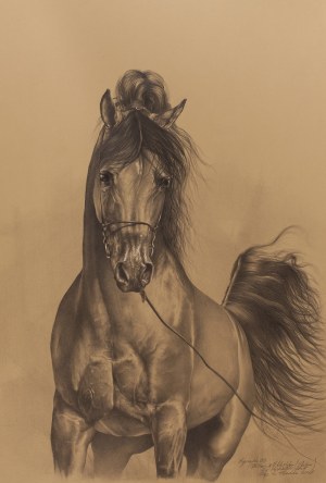 Slawomir Szereda, Stallion Equador, 2025