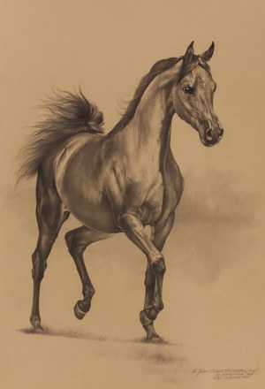 Slawomir Szereda, Al Jasser's Mare, 2025