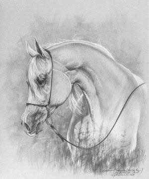 Slawomir Szereda, Emmon's Mare, 2025