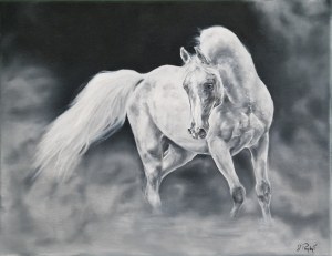 Julia Przybyl, Dancing in the Clouds