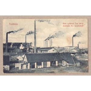 TRZEBINIA. Zinc smelter Tow. akcyj.