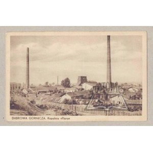 DĄBROWA Górnicza. Flora mine.