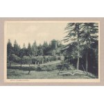 (TRUSKAVETS) LIPKI. Silver mine.