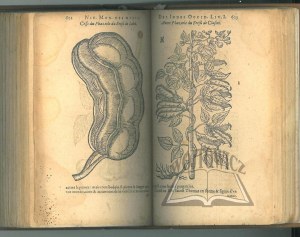 GARCIA DE ORTA - ACOSTA - MONARDES, (Botanika i farmacja) Histoire des drogues, espiceries, et de certains medicamens simples, qui naissent és Indes, tant Orientales que Occidentales...