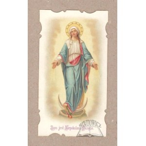 (IMAGE of the Blessed Virgin Mary). This is the Immaculate Conception.