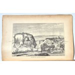 PAMIĘTNIK Towarzystwa Tatrzańskiego. Rok 1882.