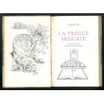 COLETTE, La Treille Muscate.