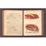 The Practical Warsaw Cookbook
