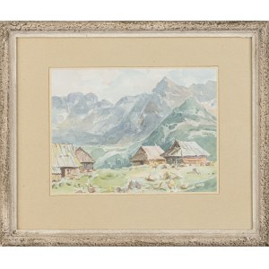 Henryk Sajdak (1905 - 1995), Hala Gąsienicowa