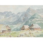 Henryk Sajdak (1905 - 1995), Hala Gąsienicowa
