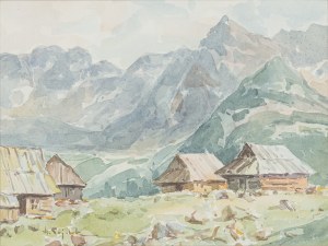 Henryk Sajdak (1905 - 1995), Hala Gąsienicowa