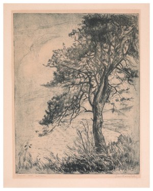 Leon Kowalski (1870-1937), Pine by the Sea