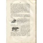 GRIGORIEW V. V. - Elementárny kurz prírodopisu. Zoológia (Элементарный курсъ естественной исторіи. зоологія) [1862].