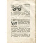 GRIGORIEW V. V. - Elementárny kurz prírodopisu. Zoológia (Элементарный курсъ естественной исторіи. зоологія) [1862].