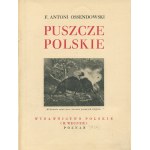 [Cuda Polski] OSSENDOWSKI Ferdynand Antoni - Puszcze polskie [1936].