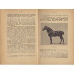 [Horses] WOTOWSKI Stanislaw - How to buy a horse? [1911]