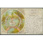 WARSAW - Central Chemical Laboratory, "DELICIA" rice powder, lith. col., ca. 1900