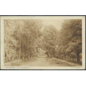 DRUSKIENIKI - Orzeszkowa Street, Photo by J. Bulhak, 11/196 Nakł. RUCH. S.A., sepia print, ca. 1925
