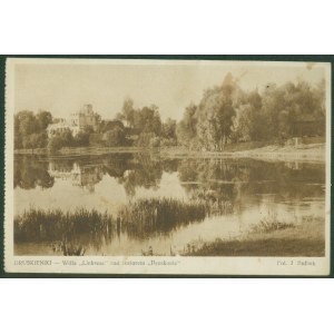DRUSKIENIKI - Willa Linksma na jeziorem Druskonie, Fot. J. Bułhak, 11/186 Nakł. RUCH. S.A., druk sepia, ok. 1925