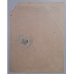 Brick for the PSL fund PLN 100.