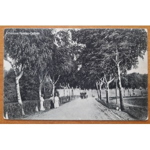 Elblag(Panklau-Cadinen Road).