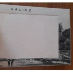 Kalisz (chute d'eau dans le parc).