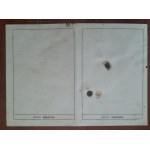 Kenkarta Mróz Władysław Rykoszyn issued on 3.01.1945.