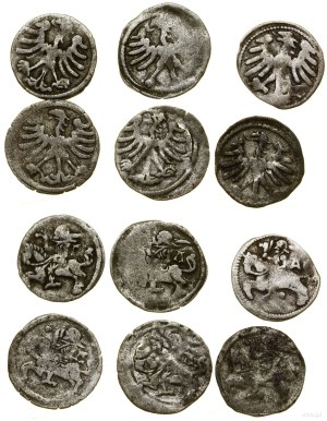 Poland, set of 6 x Lithuanian denarius, Vilnius