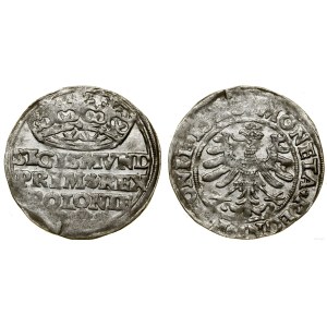 Polska, grosz, 1528, Kraków