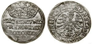 Poland, grosz, 1528, Kraków