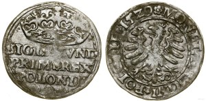 Poland, penny, 1529, Cracow