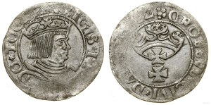 Poland, penny, 1532, Gdansk