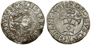 Poland, penny, 1538, Gdańsk