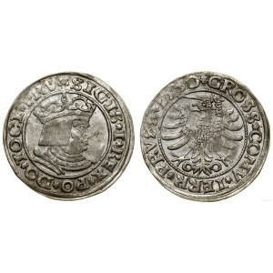 Polska, grosz, 1530, Toruń