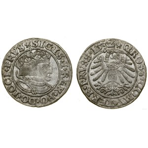Polska, grosz, 1532, Toruń