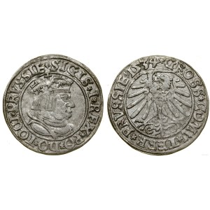 Polska, grosz, 1534, Toruń